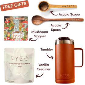 RYZE product set with tumbler, superfood creamer, mushroom magnet, and wooden scoop on a white background